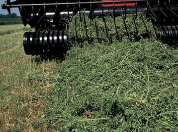 Case IH forage harvesters and blowers